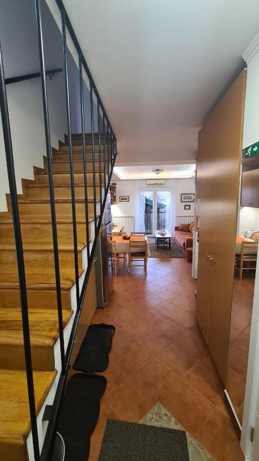 Apartment Akacija Gardens بلغراد المظهر الخارجي الصورة